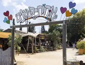 מתחם אורוות האמנים פרדס חנה צילום רז רוגובסקי