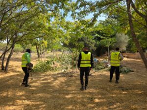ניקיון לקראת חגי תשרי