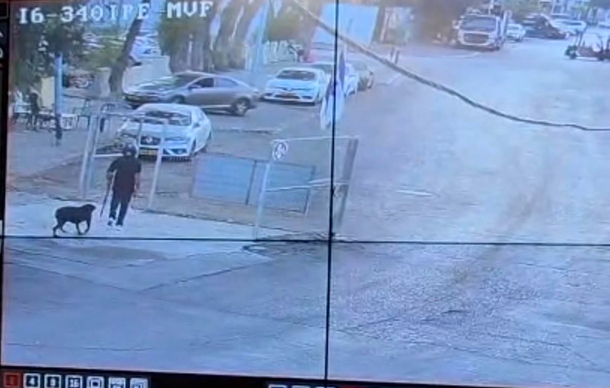 פריצה לכלבייה. גנב כלב