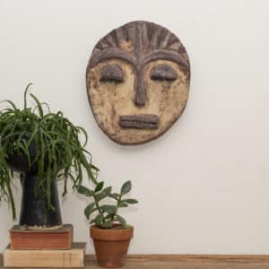 צילום: גליה שמחאי