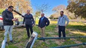 5 כוכבי יופי